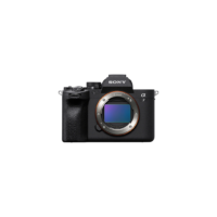 19 Sony a7 IV Mirrorless Camera