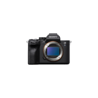 31 Sony a7S III Mirrorless Camera