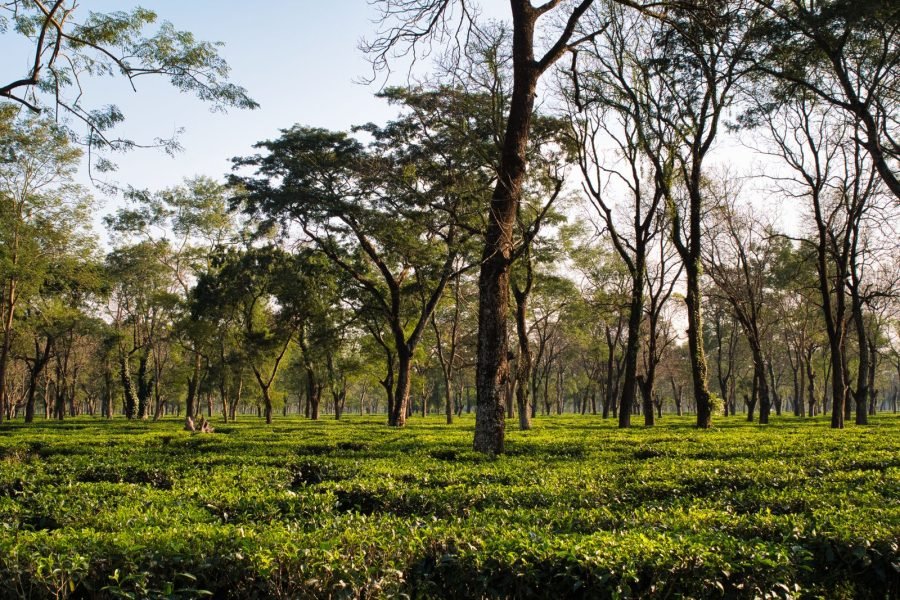Meghalaya — 5 Days / 4 Nights — Deluxe