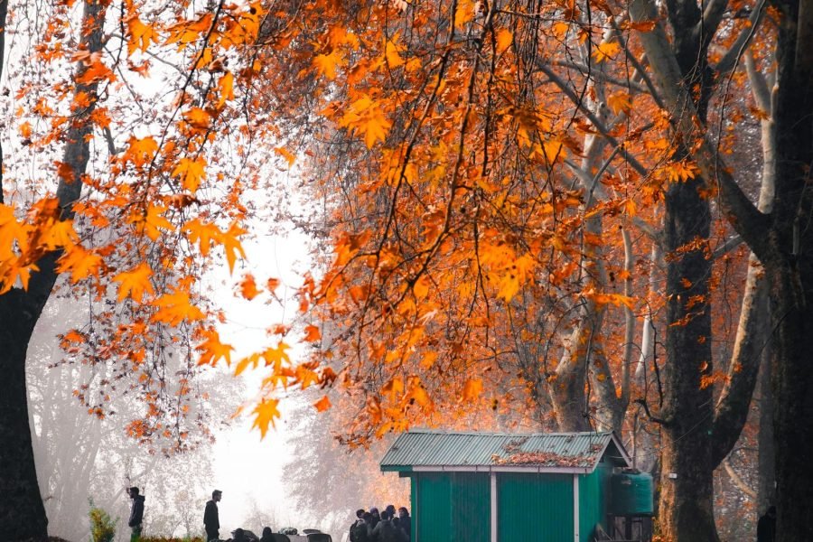 Kashmir Package — 5 Days / 4 Nights — 3-Star Standard