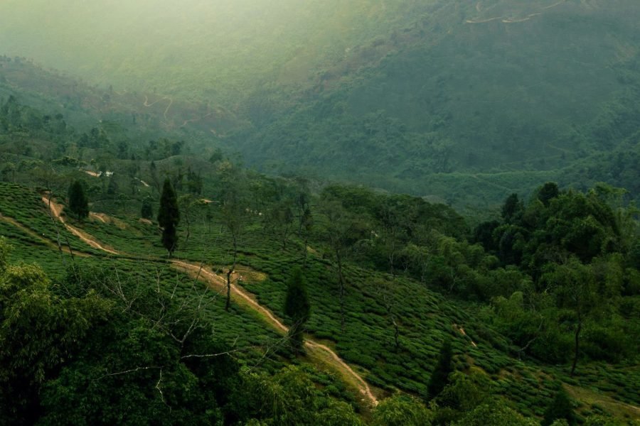 Meghalaya Group Tour — 4 Days / 3 Nights — October 2026 Departure